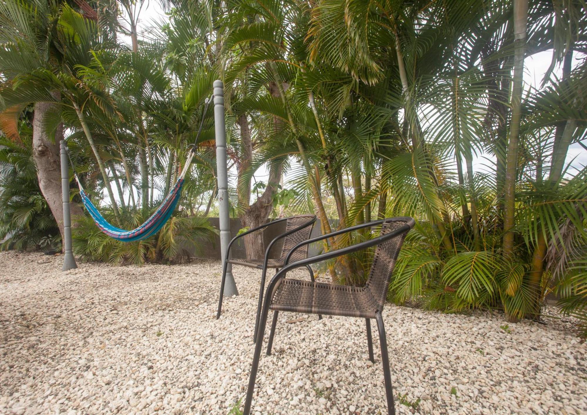 Casa Loba Suite 4 With Private Pool รินกอน ภายนอก รูปภาพ